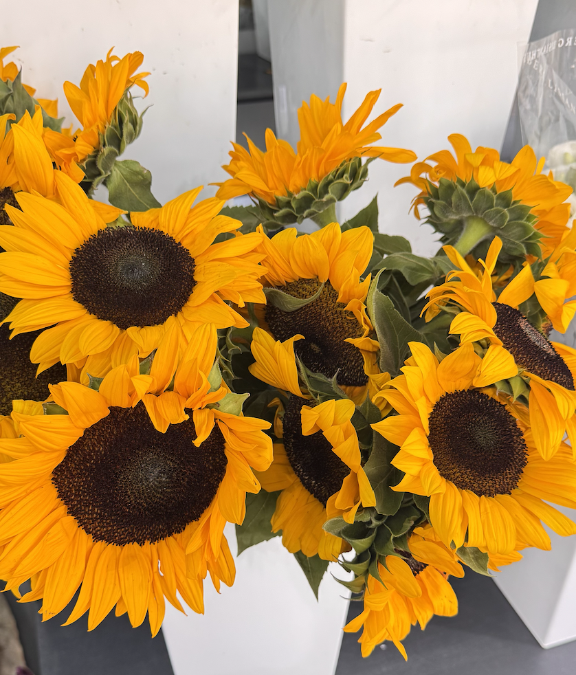 Подсолнух 1шт 70см