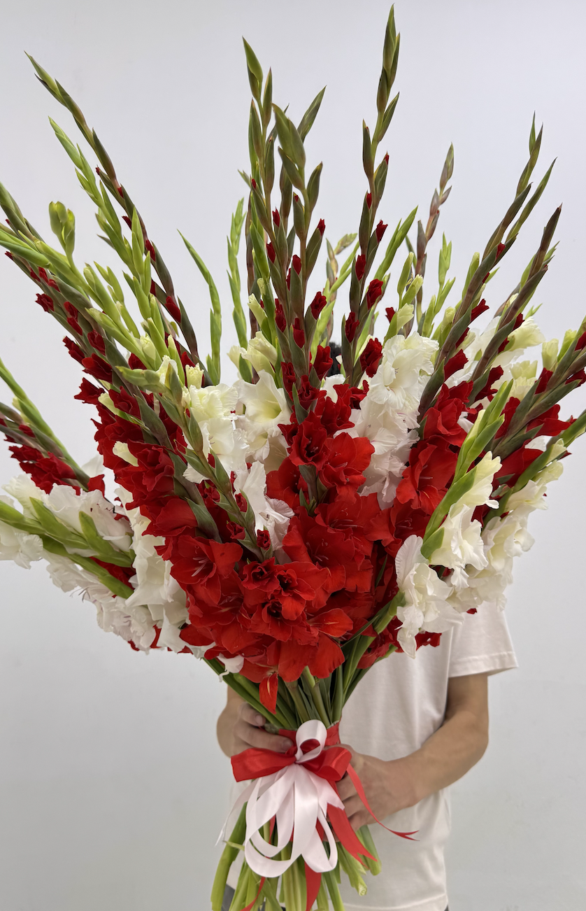 Букет гладиолусов 21шт 70см