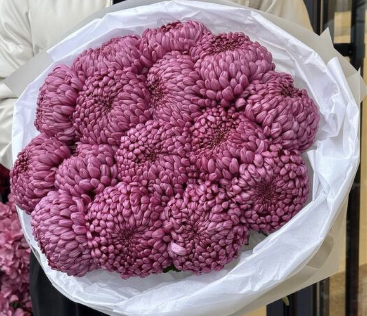 Букет хризантем 15шт 70см